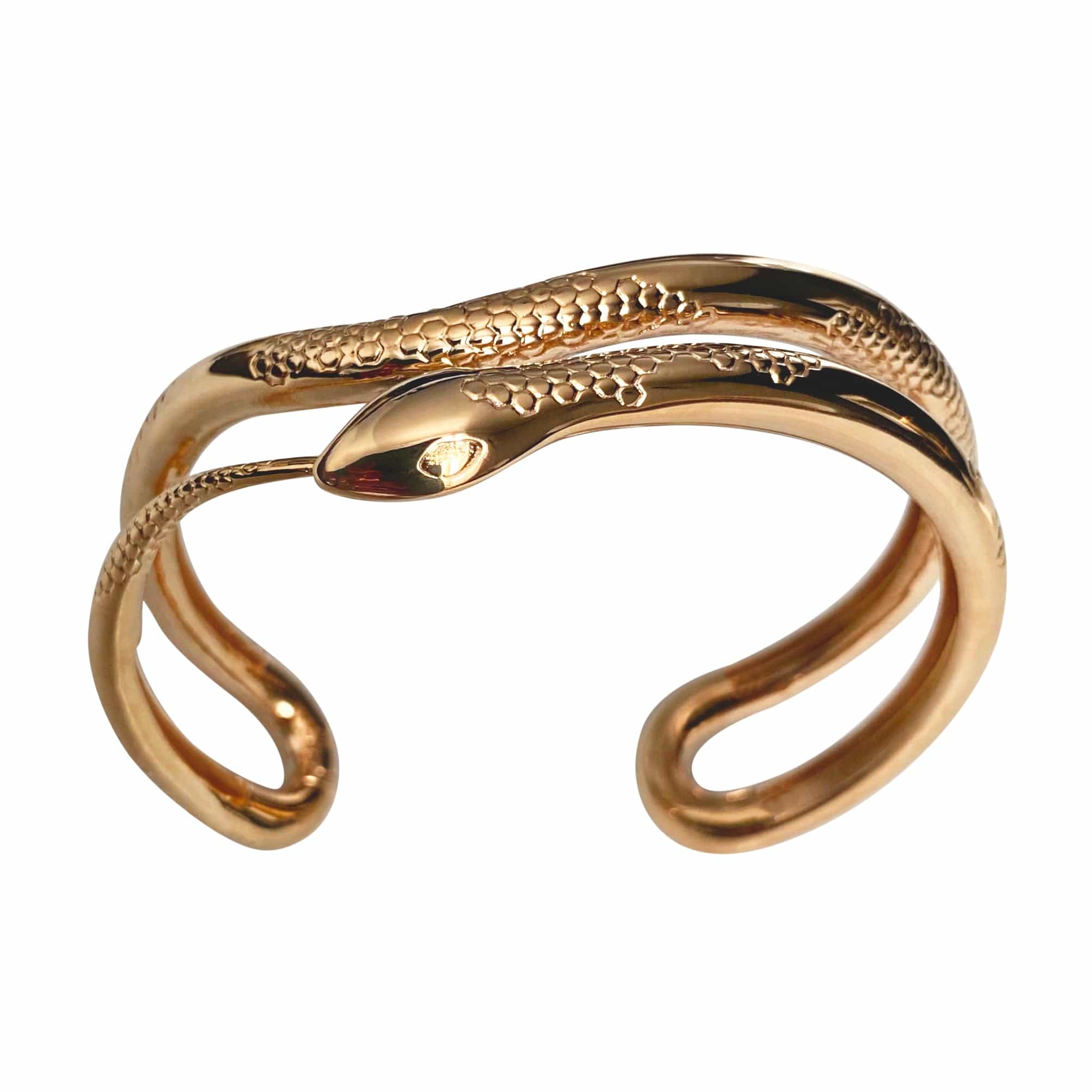 Aetern Bracelet IN CAUDA VENENUM